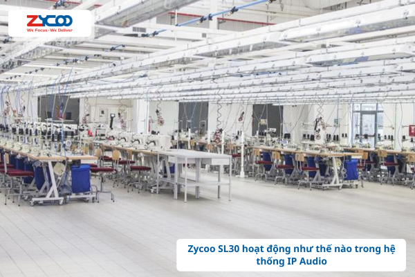 Zycoo SL30 hoạt động như thế nào trong hệ thống IP Audio?